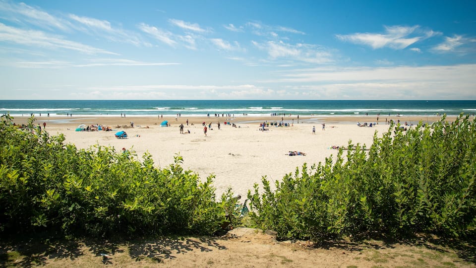 Cannon Beach featuring general coastal views and a beach