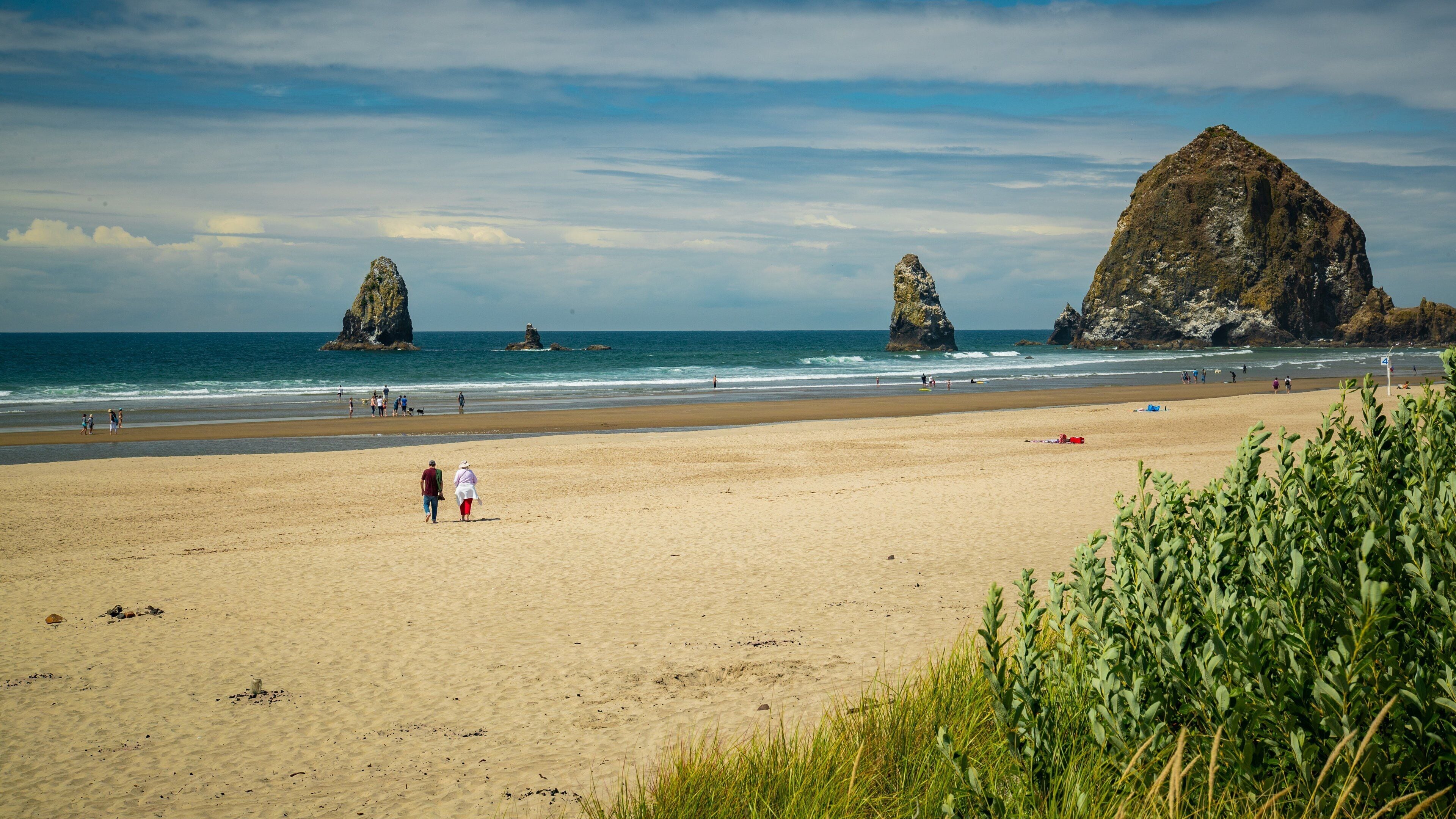 Tolovana Park which includes a beach, general coastal views and island views