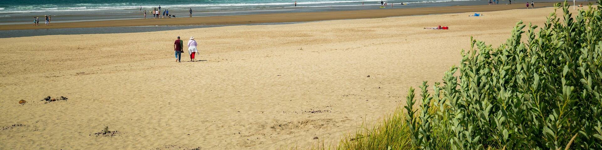 Tolovana Park which includes a beach, general coastal views and island views