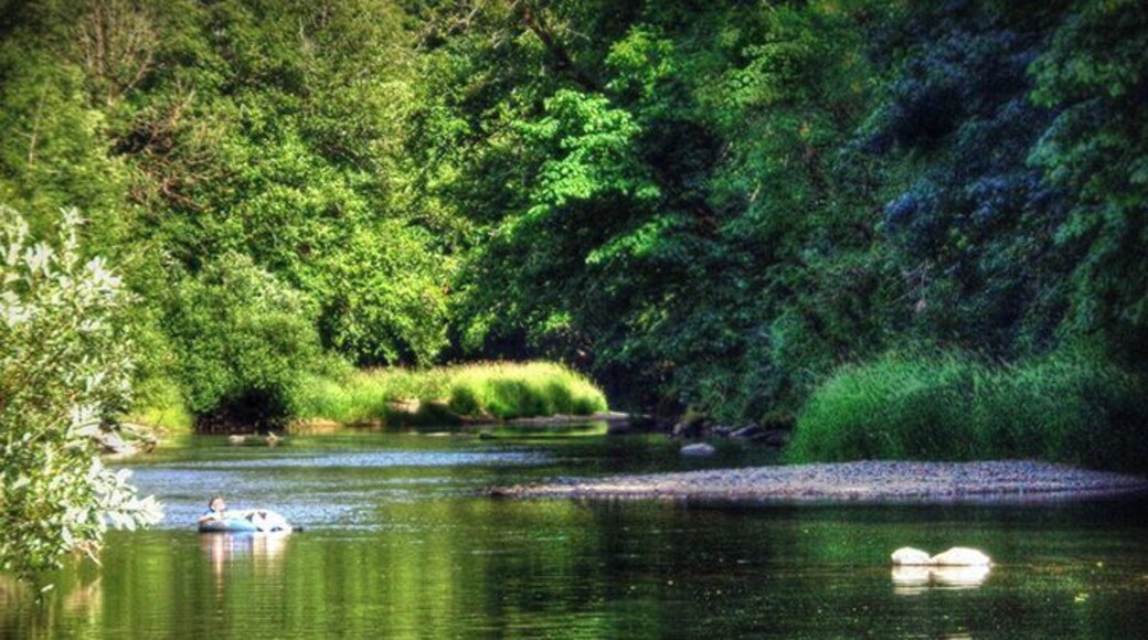Hot summer days are no match for adventure tubing down the cool, clean, (mostly) lazy Alsea River. There are some dangerous stretches of rocky rapids or trees in the water that make this too tough for young kids or inexperienced people. Also great for kayaking, though water can get low in summer and you'll have to paddle in the main channel and possibly portage some sections. One day or multi-day options.