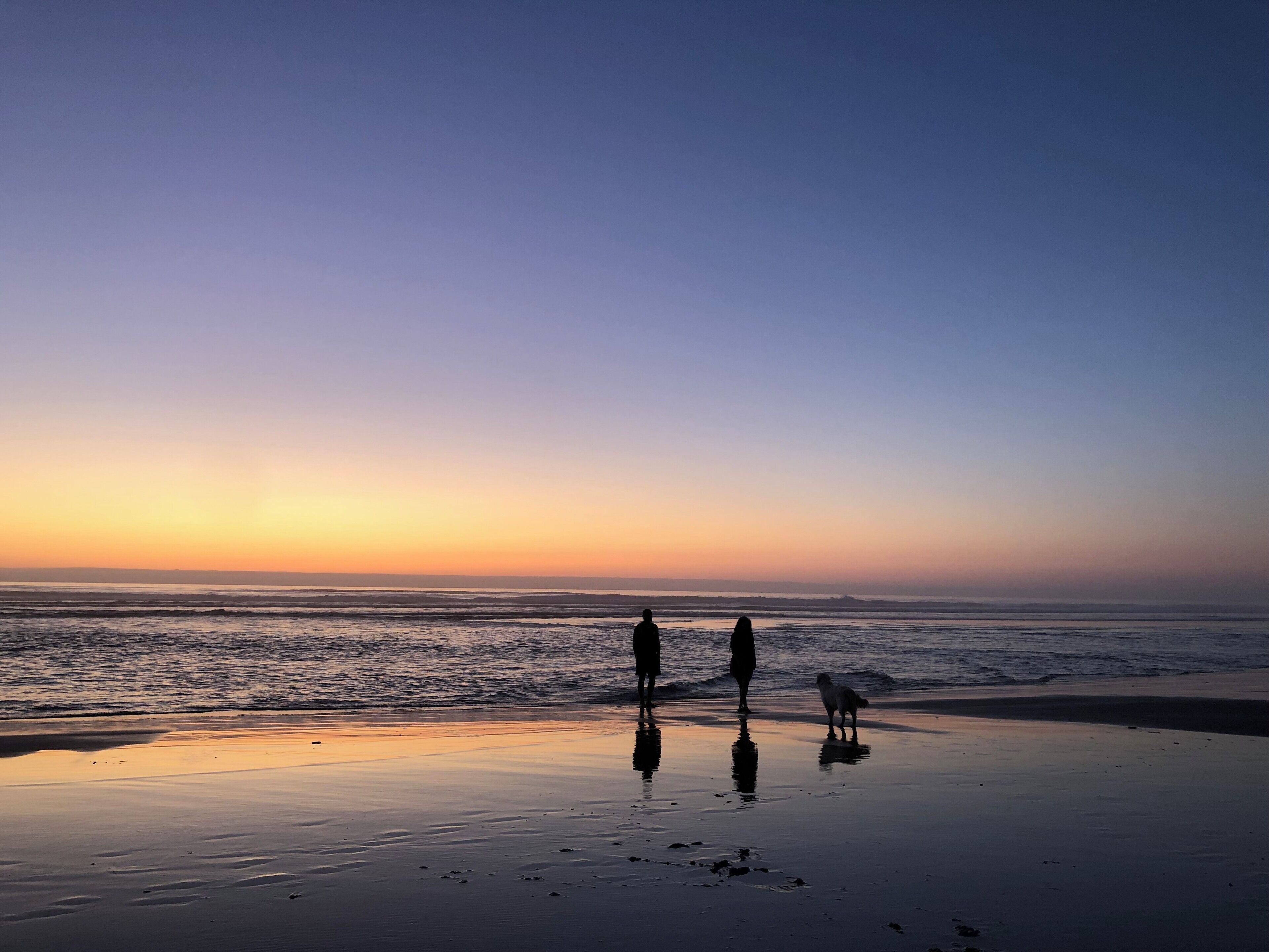 A beach at sunset with silhouettes of people and a dog.