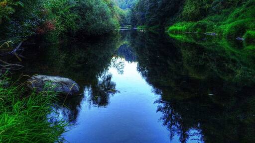 Quiet coastal river perfect for swimming and tubing in the summer. Harbor seals have been spotted over 25 miles upriver, and seeing one while swimming can cause a spook.