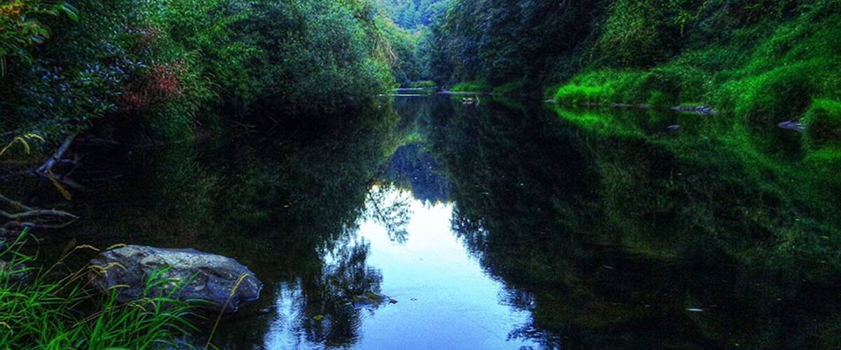 A calm river reflecting trees and greenery.