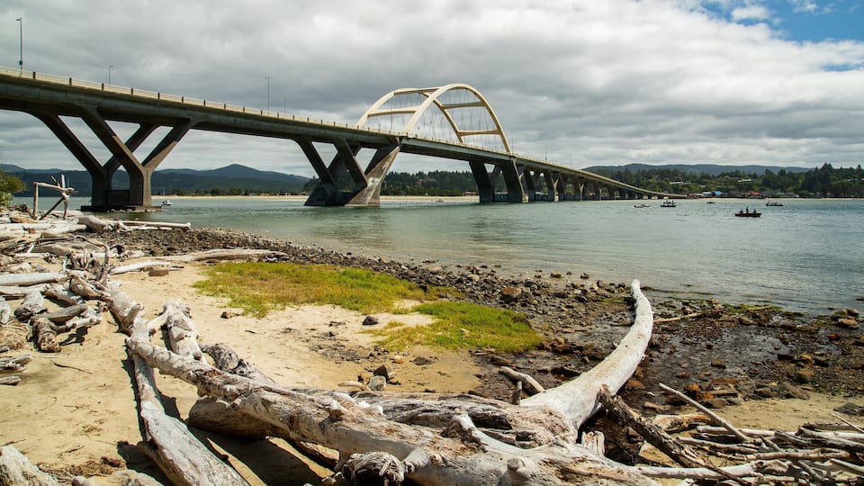 A bridge over a river with driftwood along the shore.