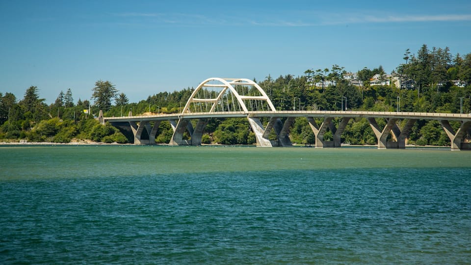 A bridge over a body of water with a forested hillside in the background.