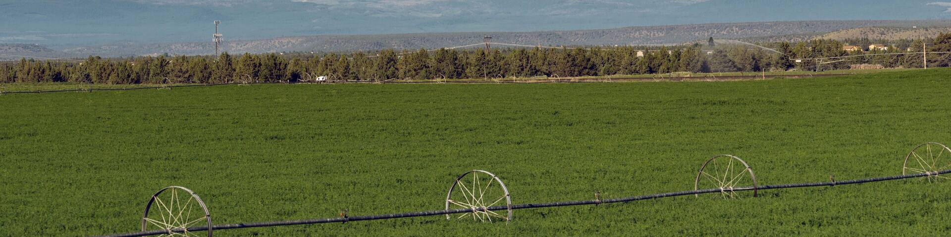 Three Sisters Stands Majestic Oregon Cascade Mountain Range