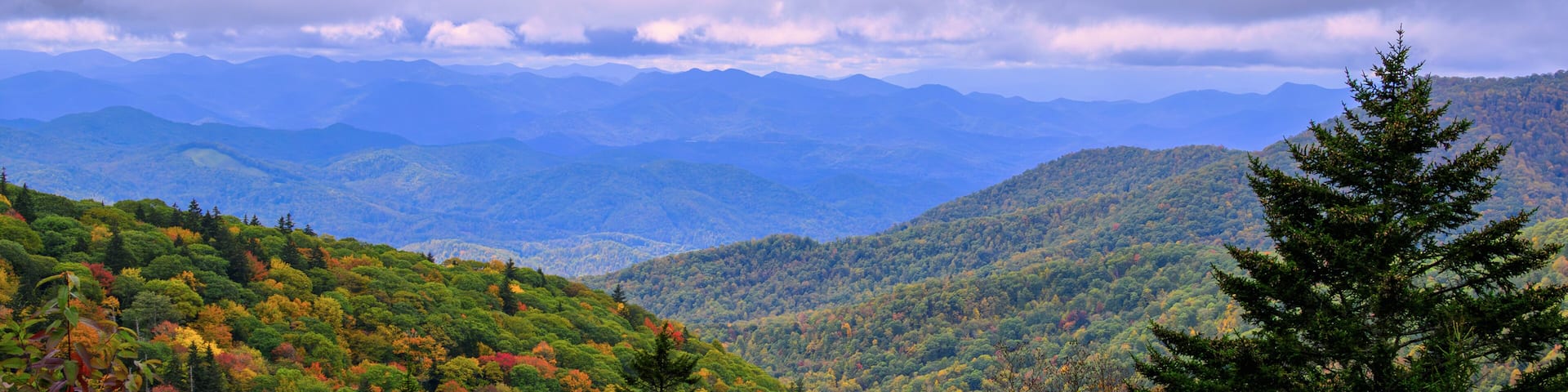 A panoramic view of rolling mountains covered in autumn foliage under a cloudy sky. The foreground features lush green trees and shrubs, with hints of red and yellow leaves, leading the eye towards