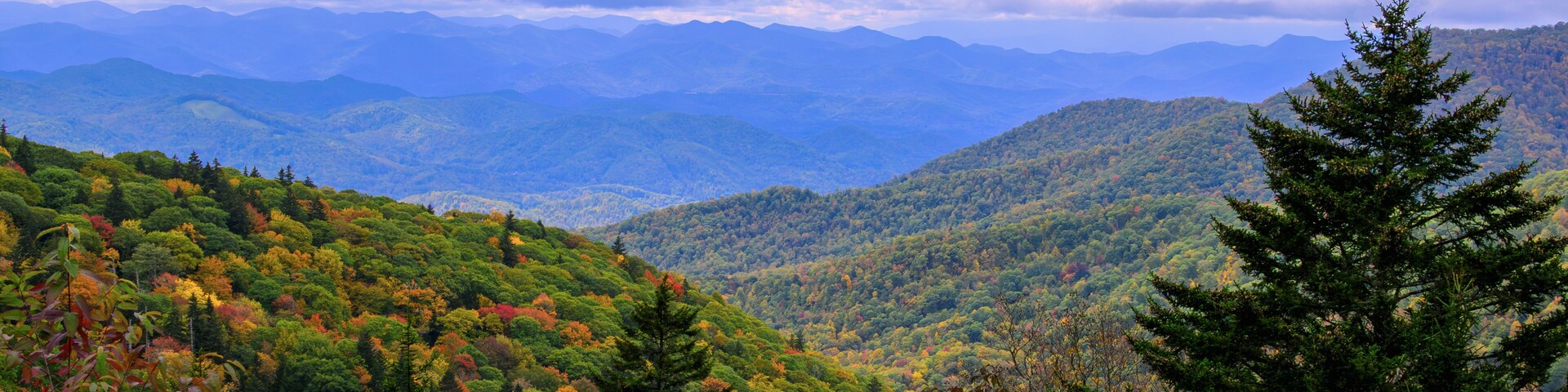 A panoramic view of rolling mountains covered in autumn foliage under a cloudy sky. The foreground features lush green trees and shrubs, with hints of red and yellow leaves, leading the eye towards
