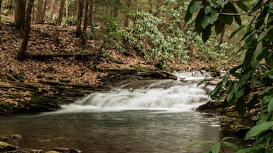 Mountain stream cascades over an outcrop