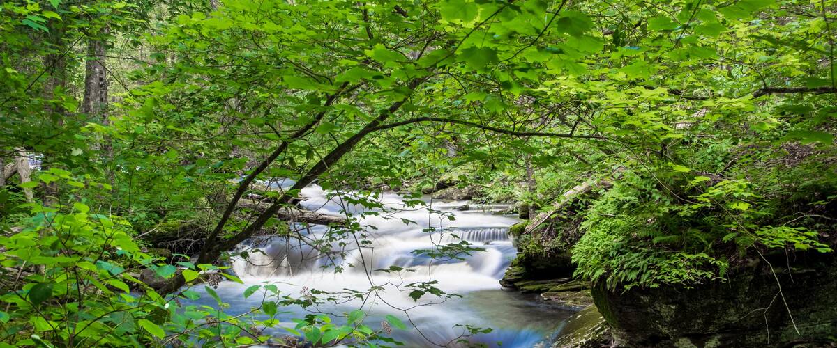 Cascade of waterfalls in scenic Ricketts Glen state park, Pennsylvania