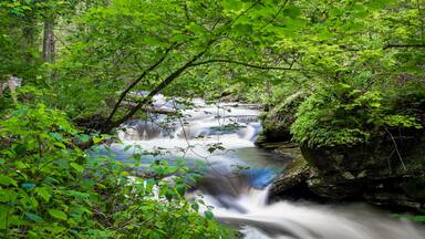 Uma cascata em área arborizada com vegetação exuberante e terreno rochoso.