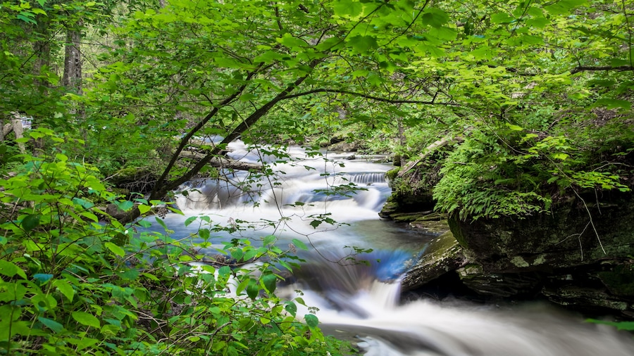 Cascade of waterfalls in scenic Ricketts Glen state park, Pennsylvania