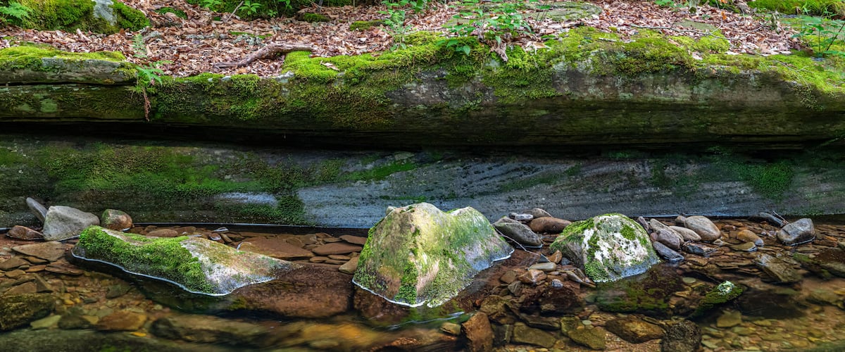 A moss-covered log with rocks and a stream.