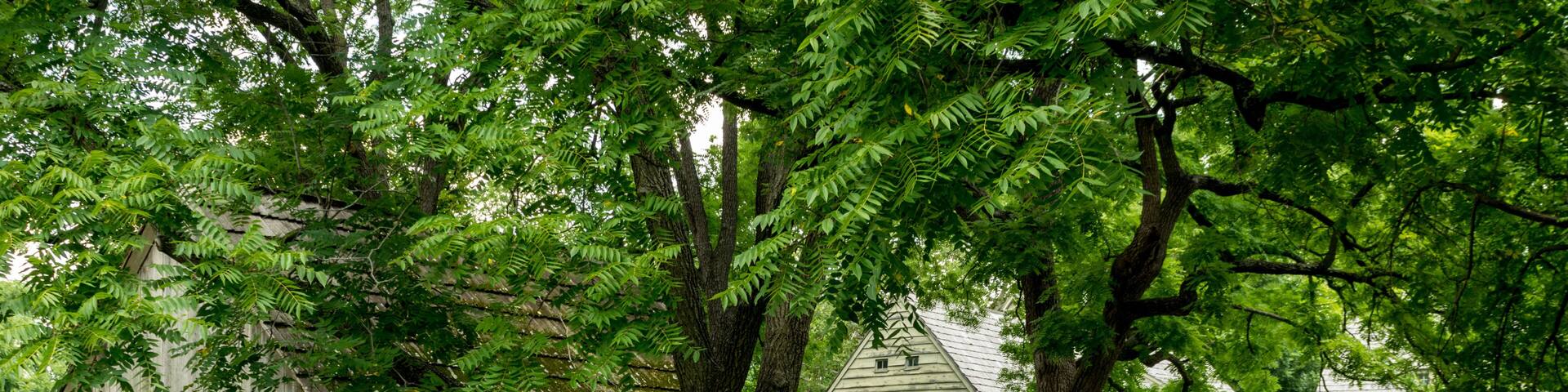 Ephrata Cloister Historic Buildings