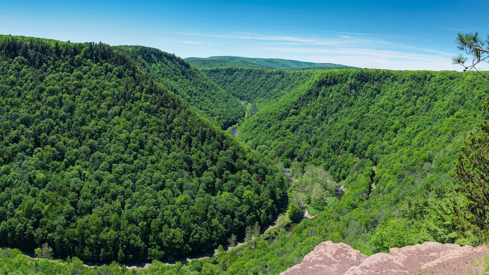 A dense forested valley with a river running through it.