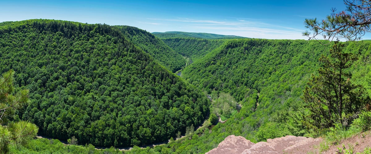 A dense forested valley with a river running through it.