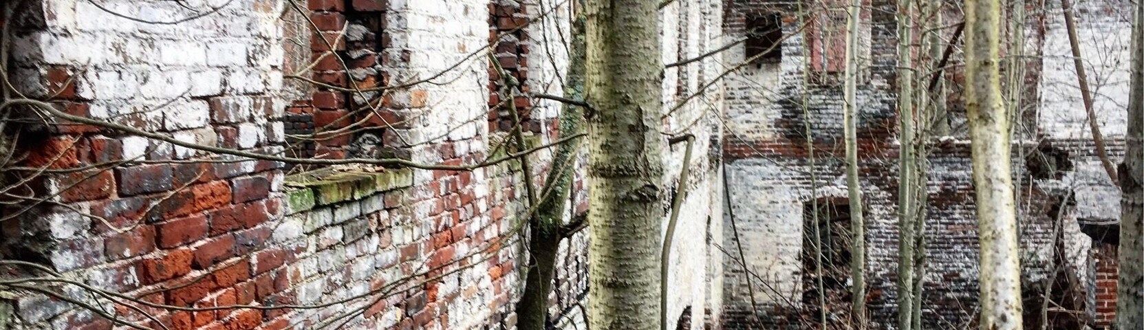 #abandoned glass factory