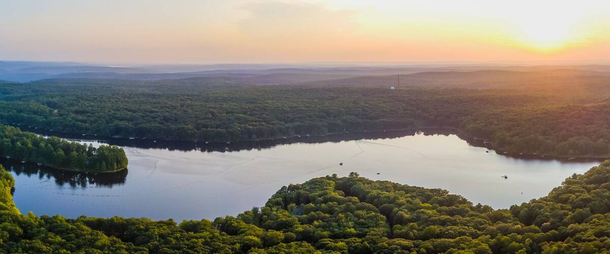 A lake surrounded by dense forest, with a clear sky and distant hills.