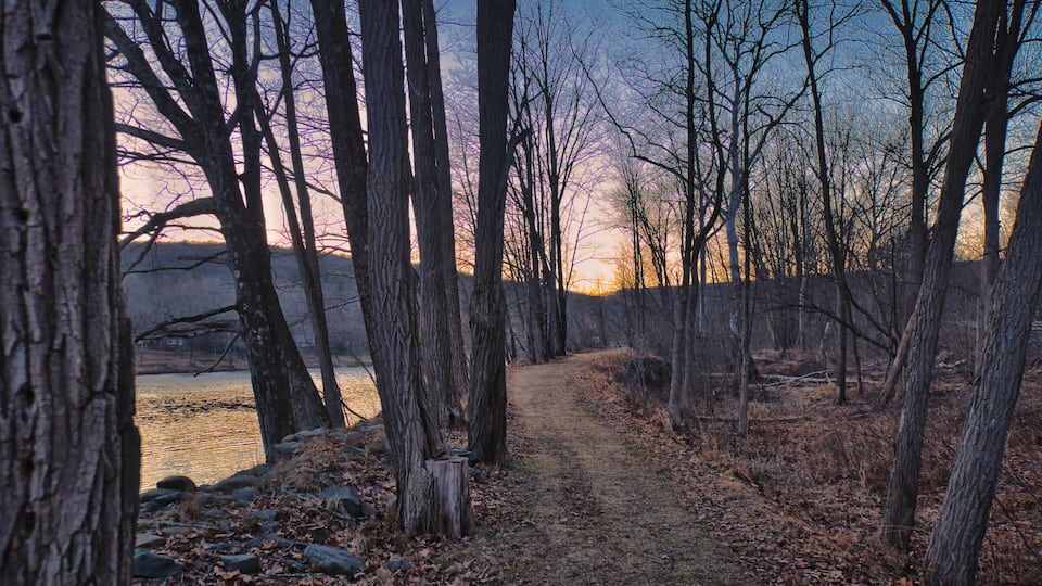 A forest path leading to a body of water with bare trees and a sunset in the background.