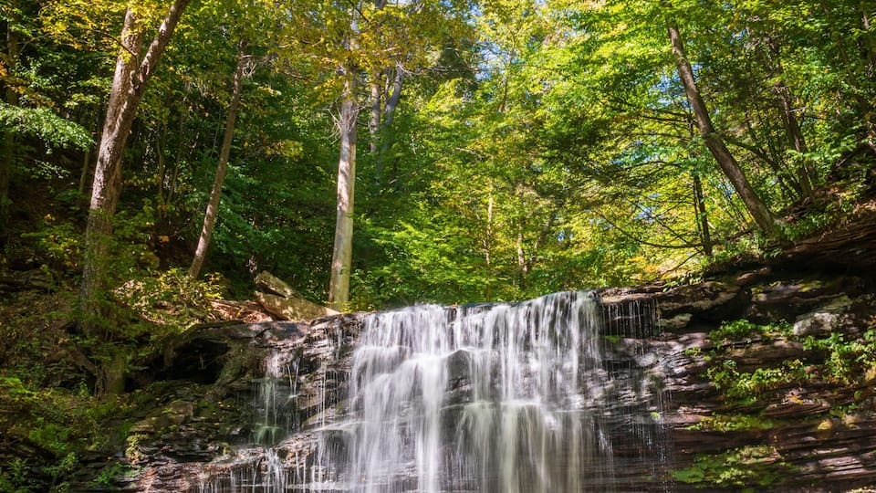 A waterfall cascading over a rocky ledge surrounded by dense green foliage.