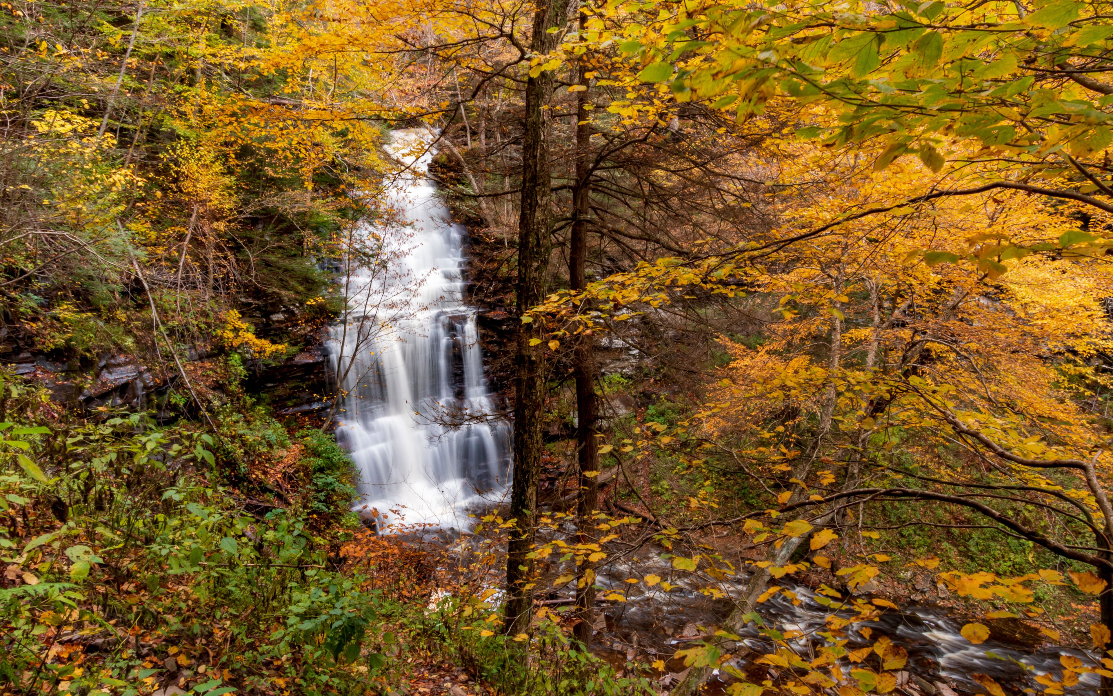 flowing silky cascading waters with  colorful autumn foliage background  on the  woods in Ricketts Glen Pennsylvania