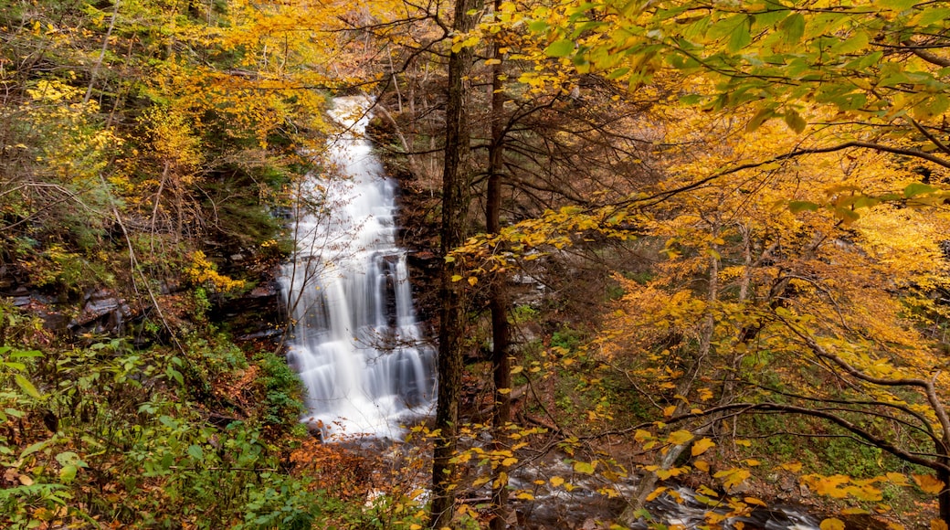 flowing silky cascading waters with colorful autumn foliage background on the woods in Ricketts Glen Pennsylvania