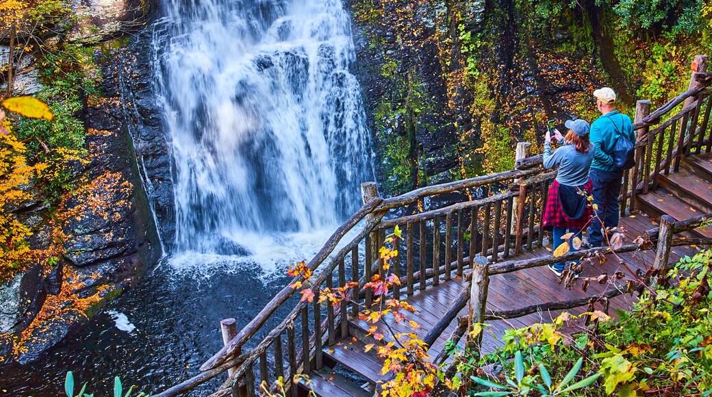 Couple enjoying view from boardwalk of huge stunning waterfall over cliffs surrounded by fall foliage