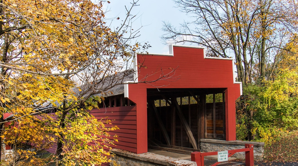 Red covered bridge surrounded by fall foliage