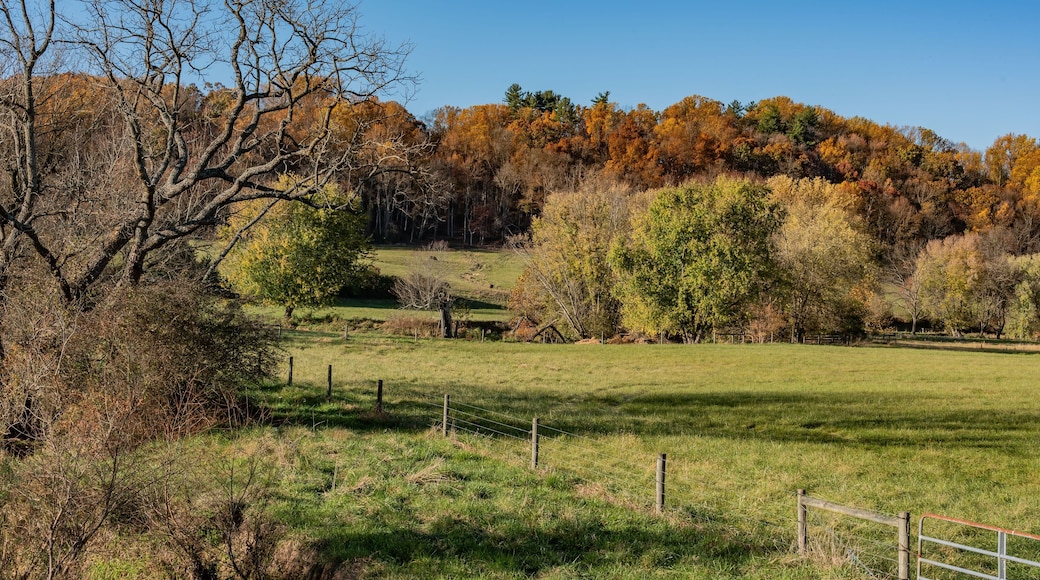 Fall Colors along the Rail Trail, Seven Valleys PA USA