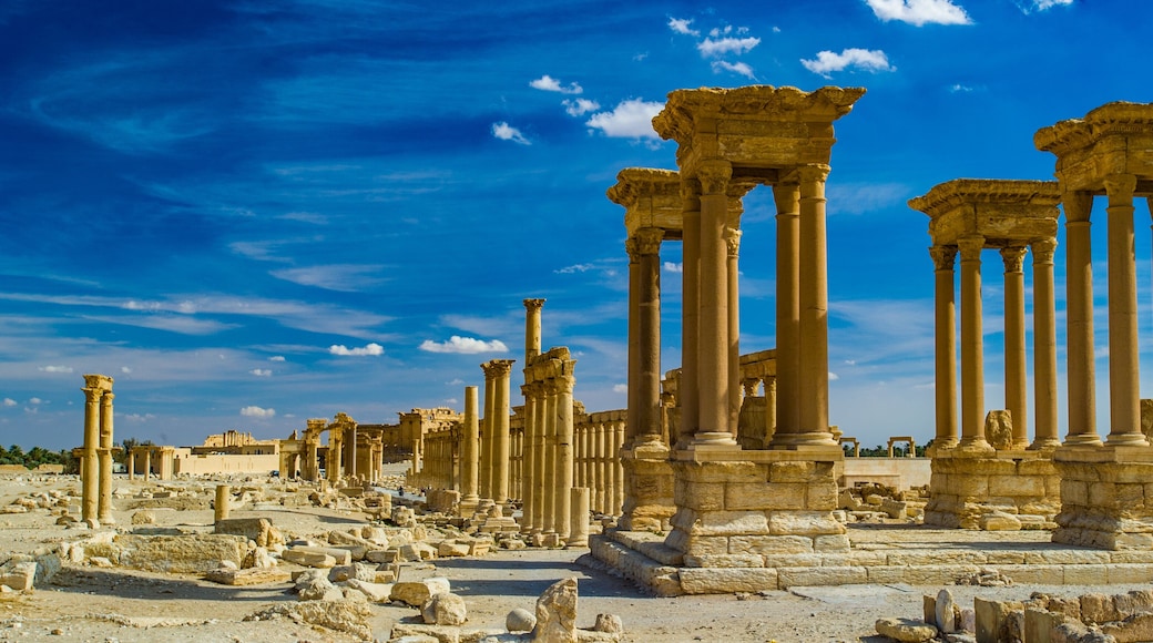 It's Beautiful view of the ruins in the desert of Syria, Palmyra