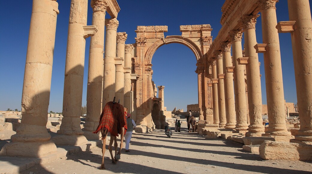 Palmyra