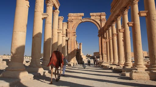 Palmyra