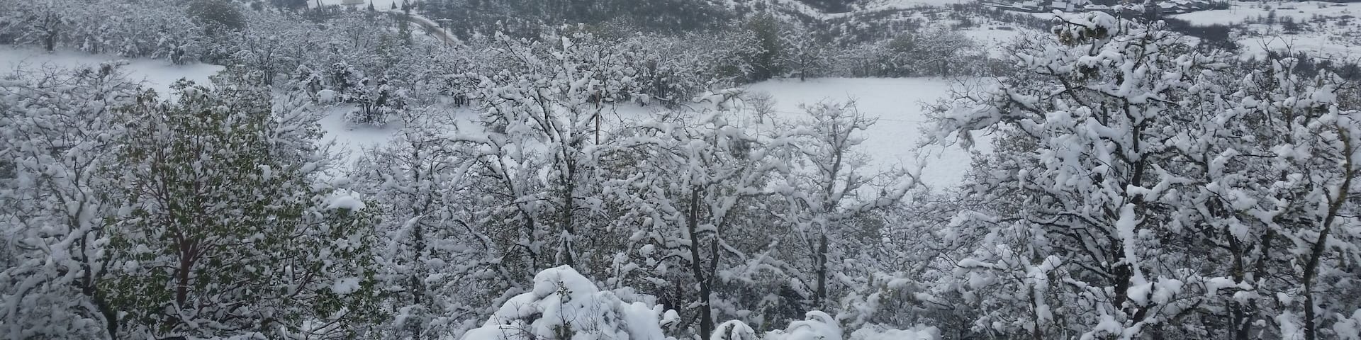 Snowy overlook st marys pennsylvania
