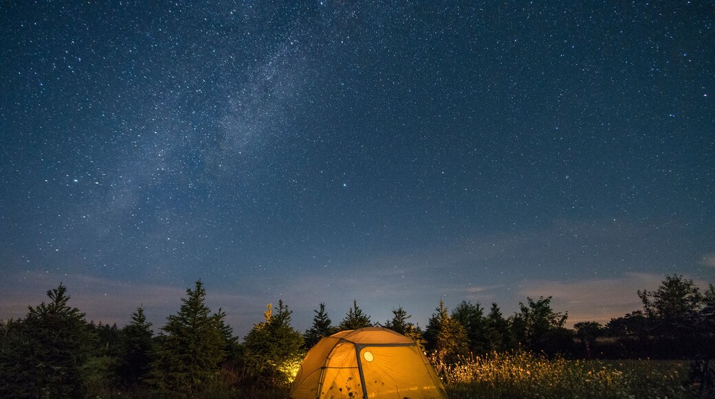 Illuminated camping tent under starry sky