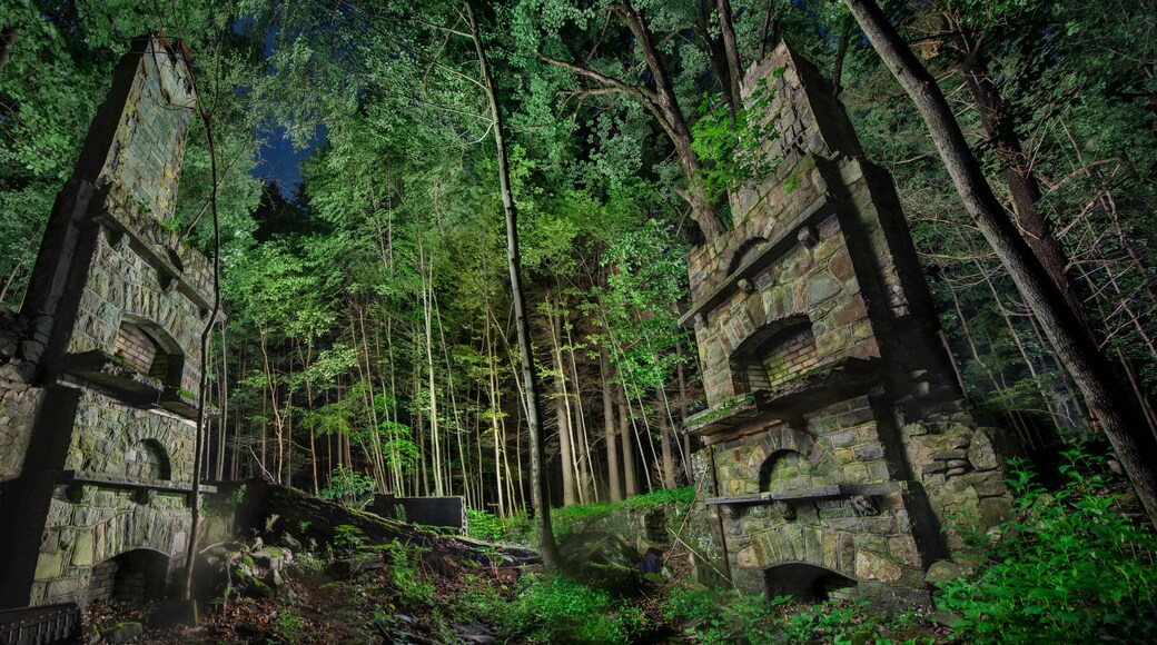 Old Chimney Stacks in Remote Woods, Historic PA Site