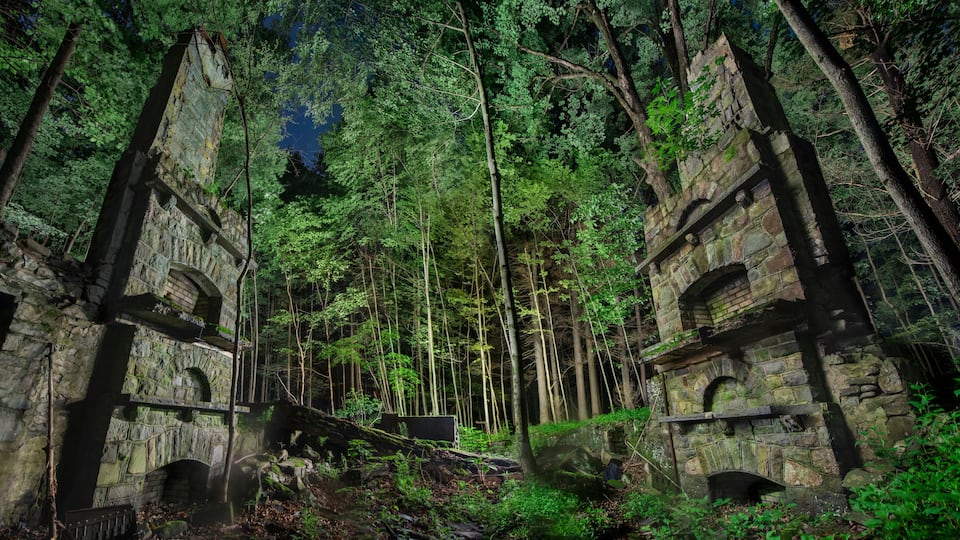 An ancient stone structure surrounded by dense forest.