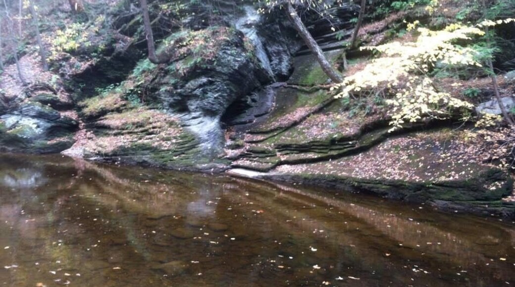 Nice trail along a calm stream