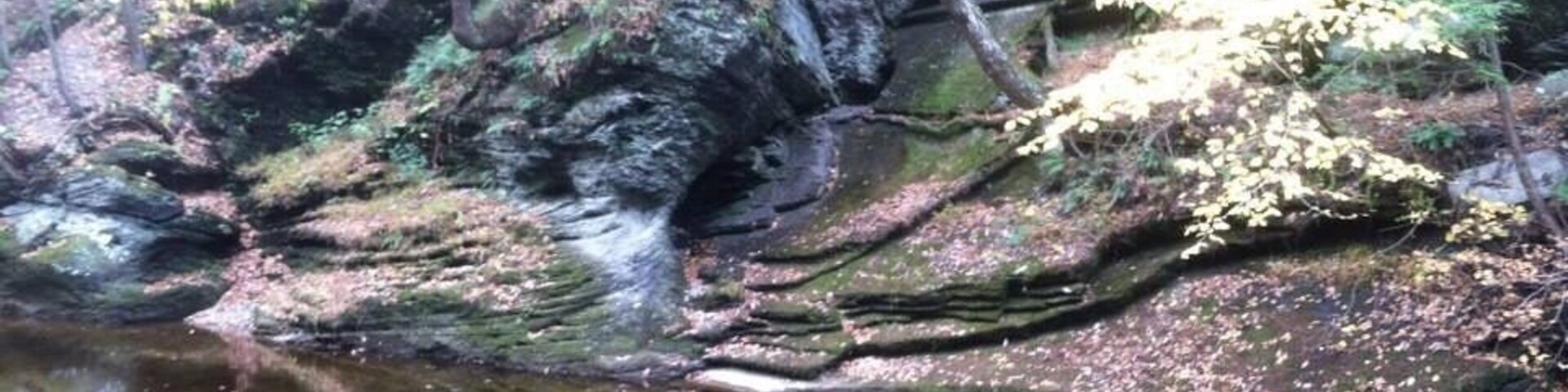 Nice trail along a calm stream