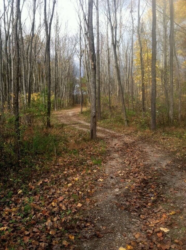 Nice variety of trails, some for horses too.. 