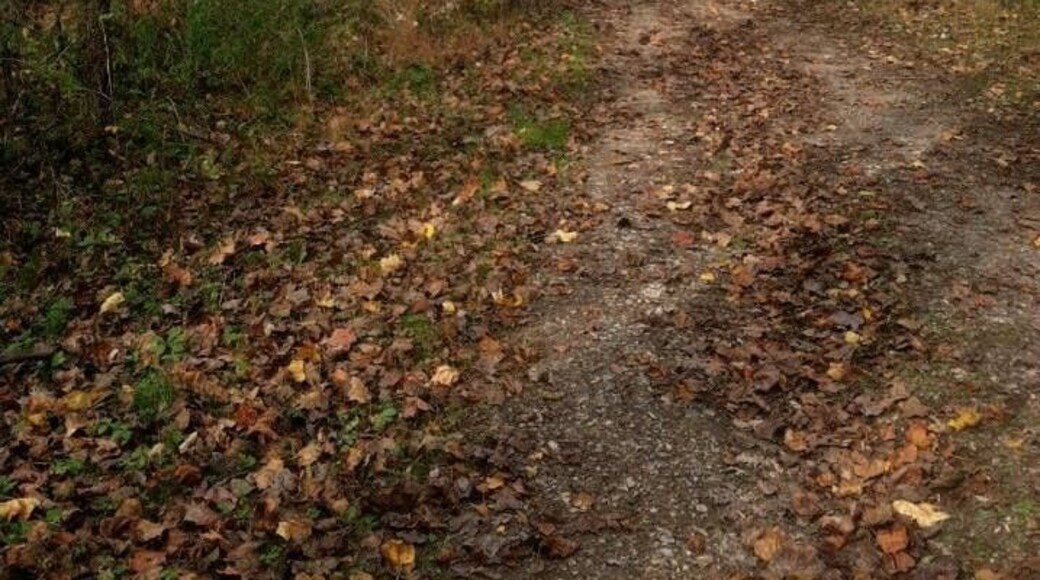 Nice variety of trails, some for horses too..