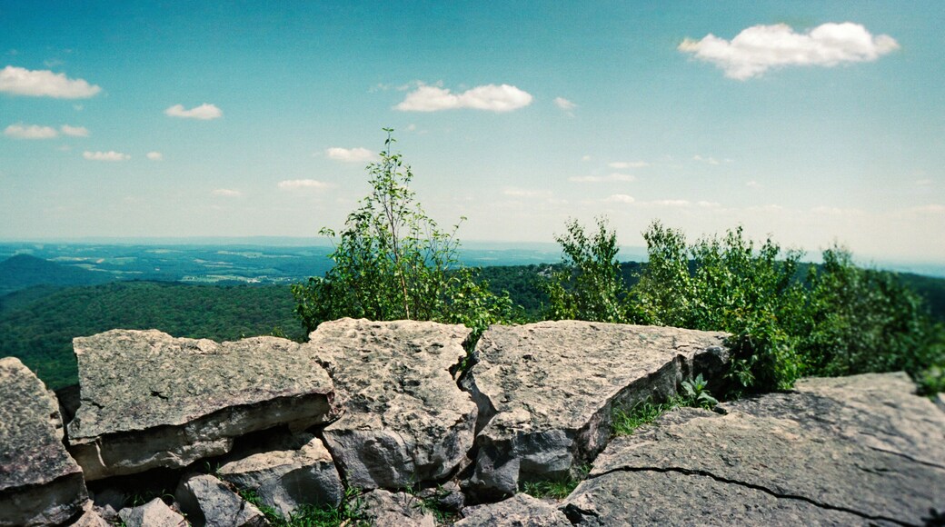 Panoramic view from the Pinnacle of the Appalachian Trail, Blue Mountain, Appalachian Mountains, Pennsylvania, USA