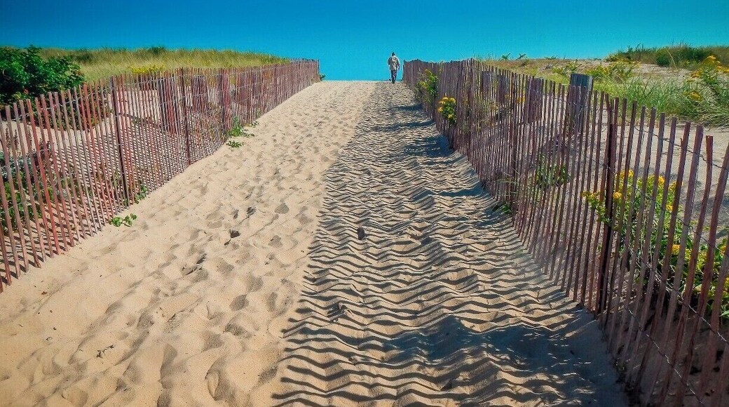 Last days of Summer. This is a path from Ninigret Pond to the Atlantic Ocean.
#beach