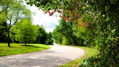 Jamestown montrant parc