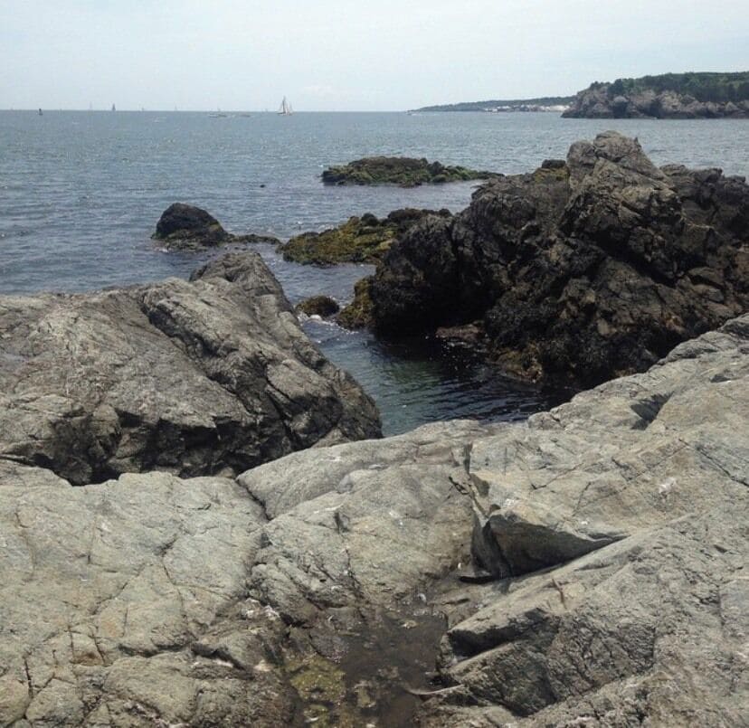 More of the seaweed and barnacle encrusted rocks. Most beautiful ocean vistas in RI, any time of year!