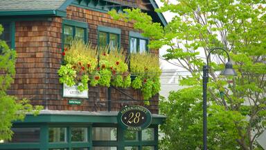 Jamestown which includes a house