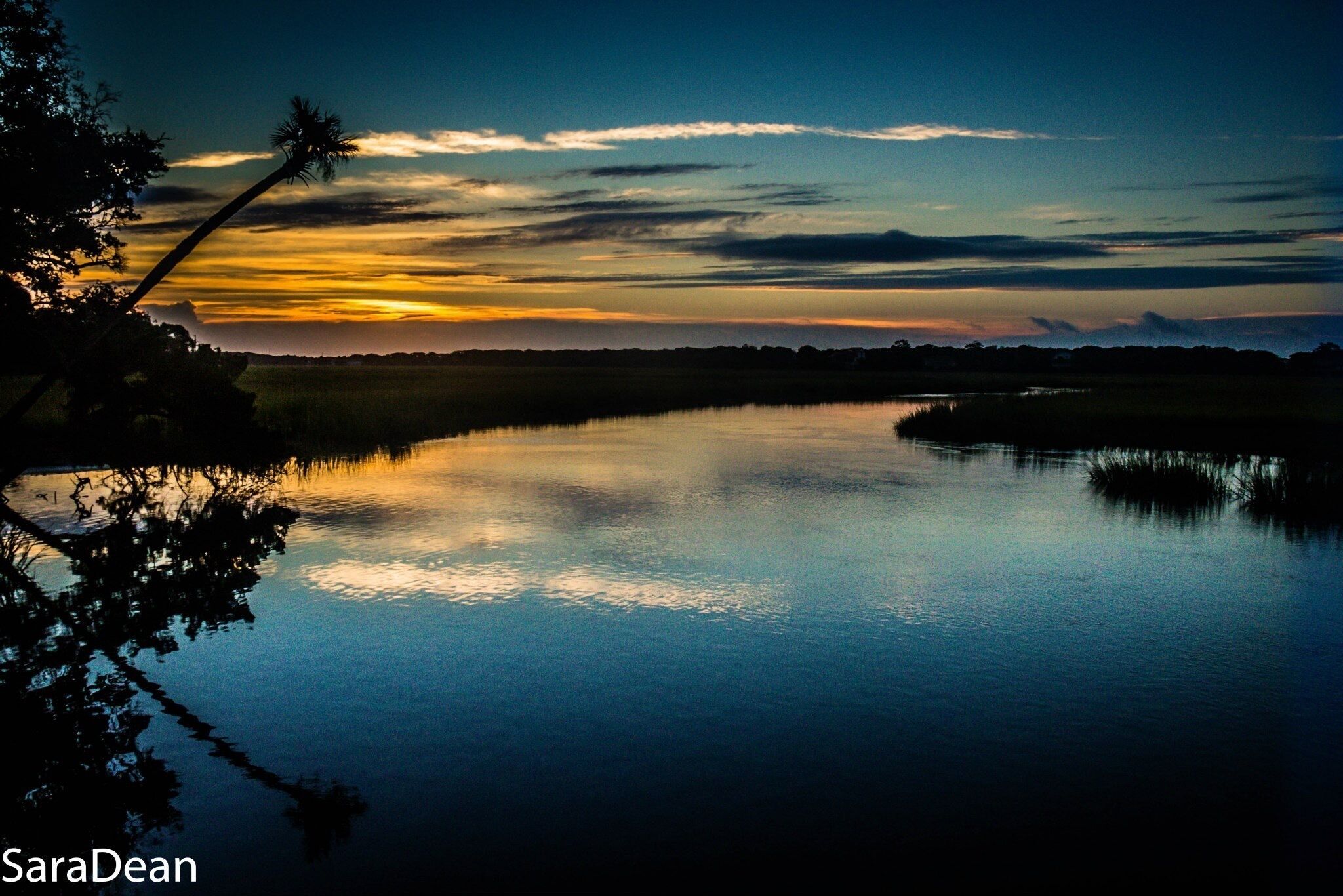 Edisto Beach, South Carolina State Park taken at Cabin Rentals. 