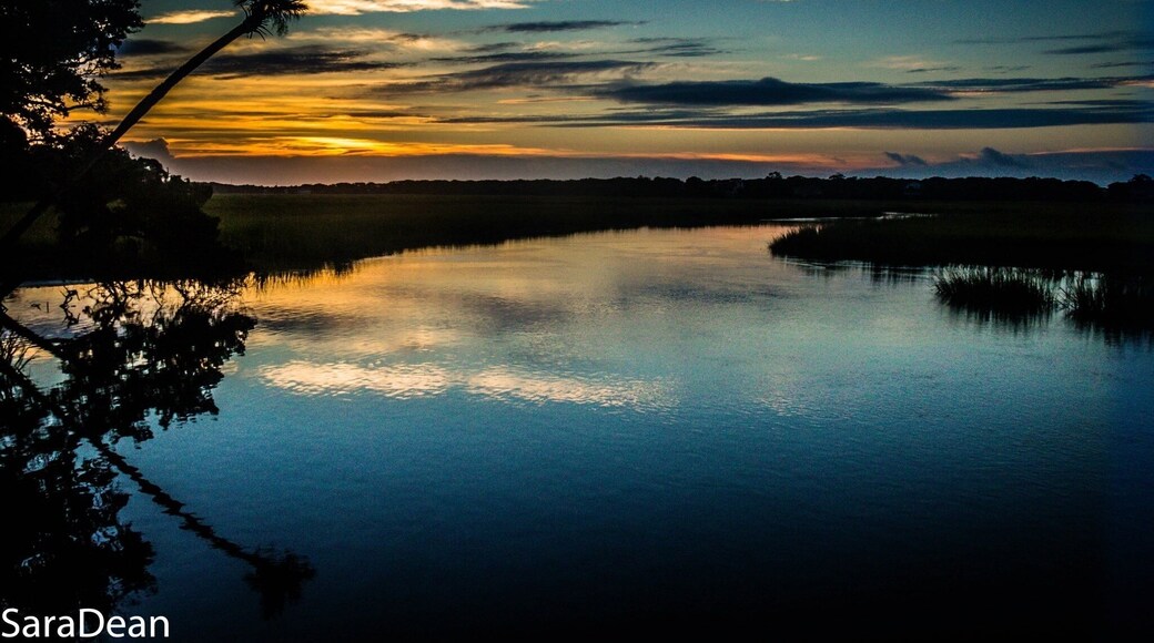 Edisto Beach, South Carolina State Park taken at Cabin Rentals.