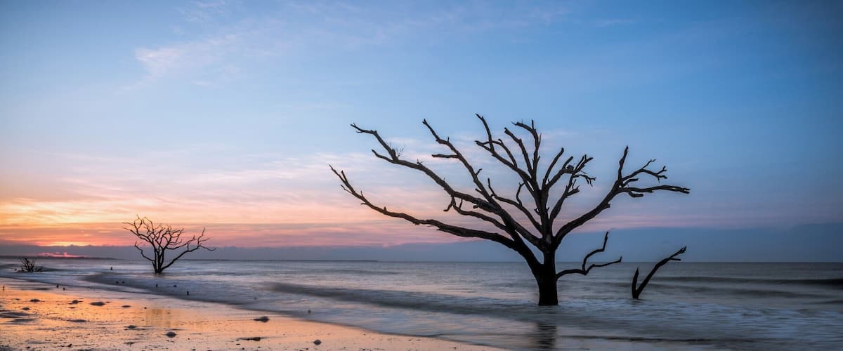 A very early morning outing at Botany Bay on Edisto Island. I had to start from my hotel at 3 AM to make it to this location before dawn. 
Botany Bay Plantation is a nature preserve and has regulated visitor hours. Gates open 30 minutes before sunrise - I wish they'd open a little sooner as the golden hour is pretty much more than half way done by the time one can make it to the beach. Nevertheless, it's a great location to visit at sunrise, especially if there are high clouds to add drama. Recommended to visit when the tide is ebbing as you then get the shadows of the trees, which to my eyes add more depth to the image. 
On this day, there was a bank of low clouds that prevented too much color but it was a great sunrise to witness nonetheless. The trees have so much character and add so much to the image. It's hard to look at the remnants of these trees and not imagine the onslaught they've withstood at the hands of mother nature. 
#WeekendGetAwayForTheFamily #colorful #USA #weekend #treetrove #blue