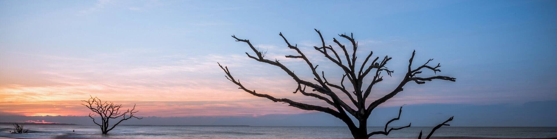A very early morning outing at Botany Bay on Edisto Island. I had to start from my hotel at 3 AM to make it to this location before dawn.
Botany Bay Plantation is a nature preserve and has regulated visitor hours. Gates open 30 minutes before sunrise - I wish they'd open a little sooner as the golden hour is pretty much more than half way done by the time one can make it to the beach. Nevertheless, it's a great location to visit at sunrise, especially if there are high clouds to add drama. Recommended to visit when the tide is ebbing as you then get the shadows of the trees, which to my eyes add more depth to the image.
On this day, there was a bank of low clouds that prevented too much color but it was a great sunrise to witness nonetheless. The trees have so much character and add so much to the image. It's hard to look at the remnants of these trees and not imagine the onslaught they've withstood at the hands of mother nature.
#WeekendGetAwayForTheFamily #colorful #USA #weekend #treetrove #blue