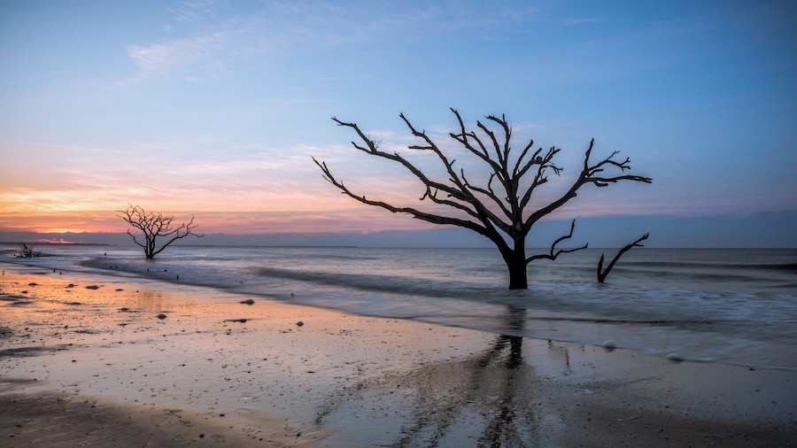 A very early morning outing at Botany Bay on Edisto Island. I had to start from my hotel at 3 AM to make it to this location before dawn.
Botany Bay Plantation is a nature preserve and has regulated visitor hours. Gates open 30 minutes before sunrise - I wish they'd open a little sooner as the golden hour is pretty much more than half way done by the time one can make it to the beach. Nevertheless, it's a great location to visit at sunrise, especially if there are high clouds to add drama. Recommended to visit when the tide is ebbing as you then get the shadows of the trees, which to my eyes add more depth to the image.
On this day, there was a bank of low clouds that prevented too much color but it was a great sunrise to witness nonetheless. The trees have so much character and add so much to the image. It's hard to look at the remnants of these trees and not imagine the onslaught they've withstood at the hands of mother nature.
#WeekendGetAwayForTheFamily #colorful #USA #weekend #treetrove #blue